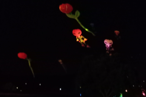Ventomania by Night